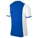 Koszulka piłkarska Nike Park Derby M 588413-463